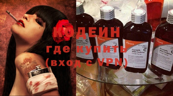 хмурый Липки