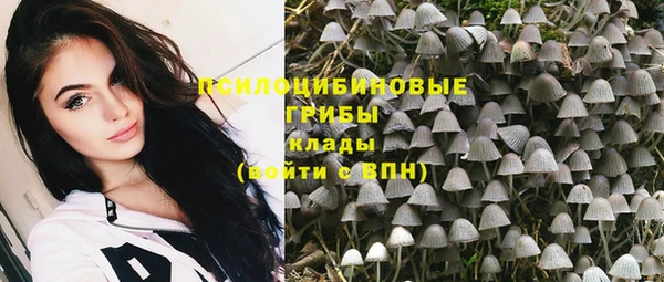 хмурый Липки