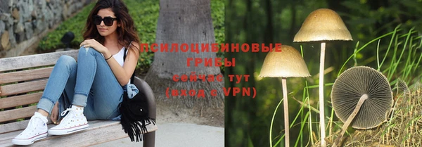 стаф Лихославль