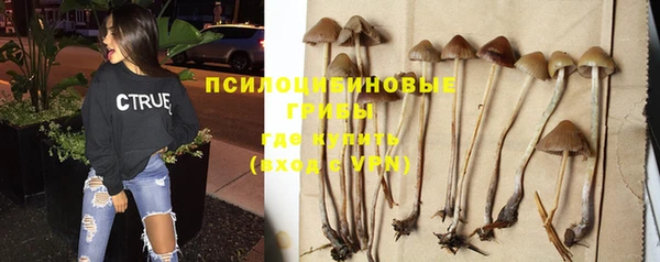 стаф Лихославль