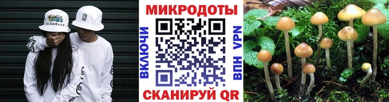 Купить где  Юрьевец  Псилоцибиновые грибы GOLDEN TEACHER 